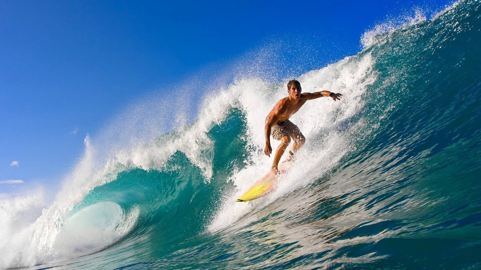 体育新闻中心上线全新多语种传播矩阵，体育新闻概念